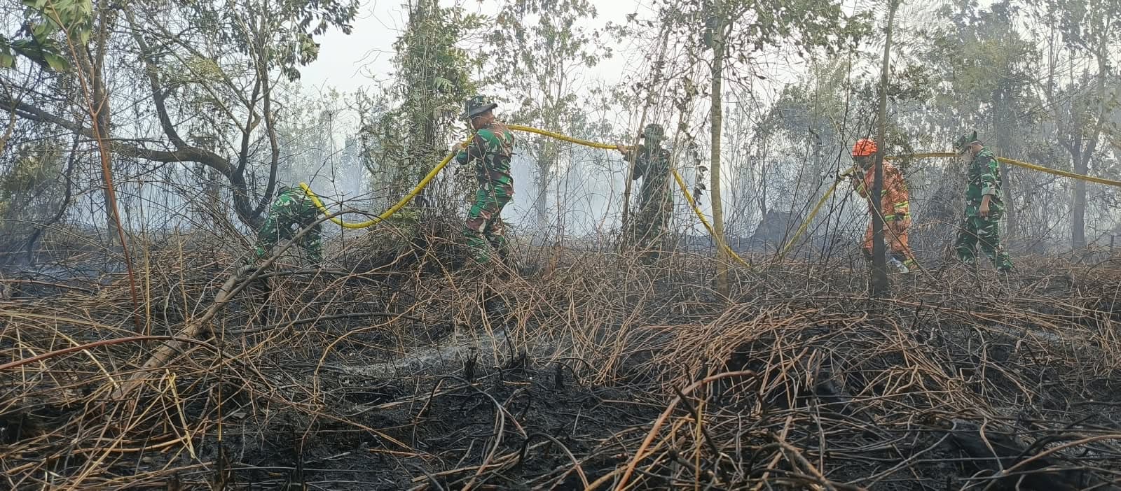 Hadapi Cuaca Panas Ekstrem, Kodam XIX/Tuanku Tambusai Perkuat Operasi Pemadaman Karhutla di Kampar