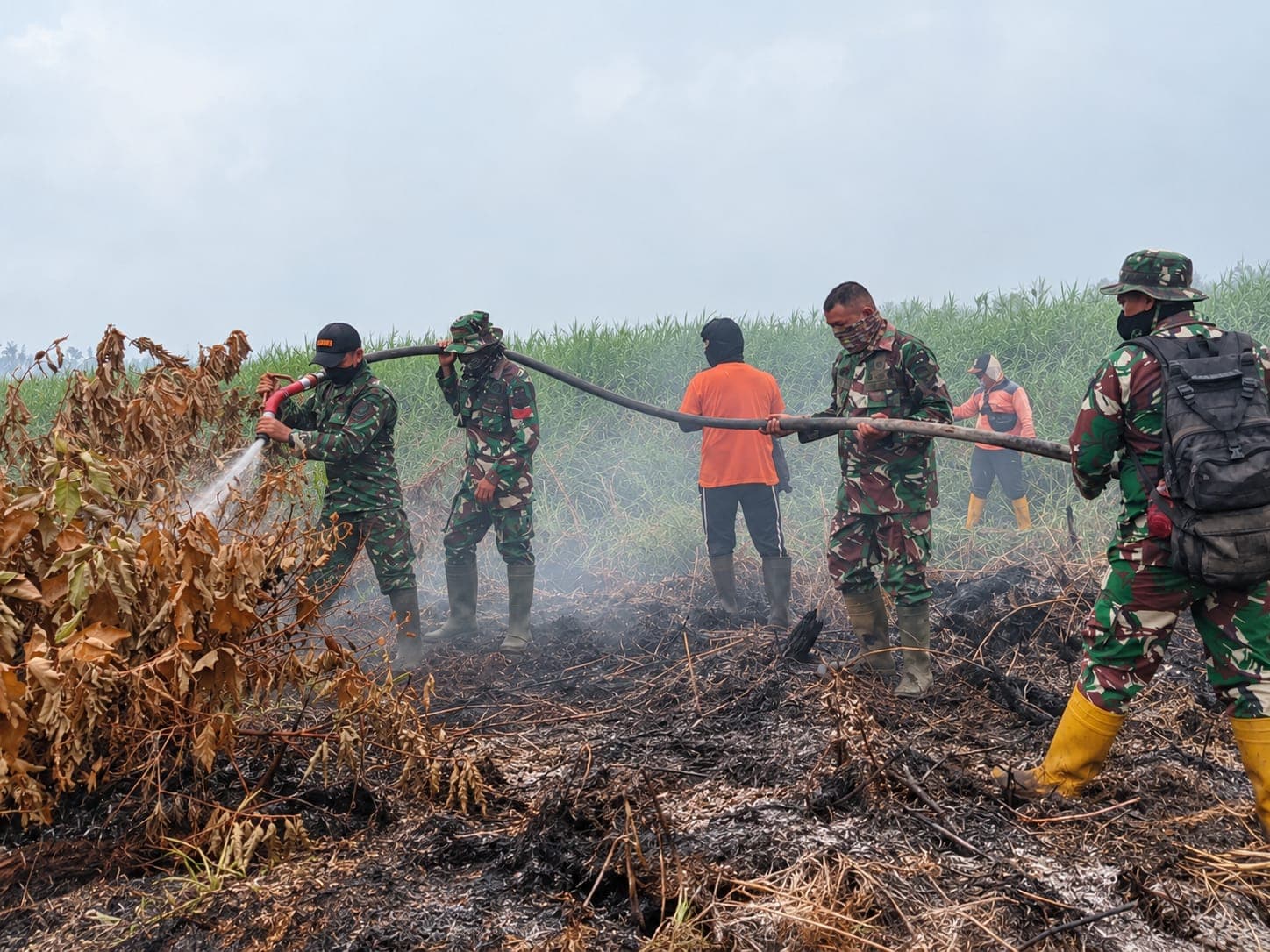 Tim Gabungan Lanjutkan Pendinginan Karhutla di Tiga Lokasi di Riau