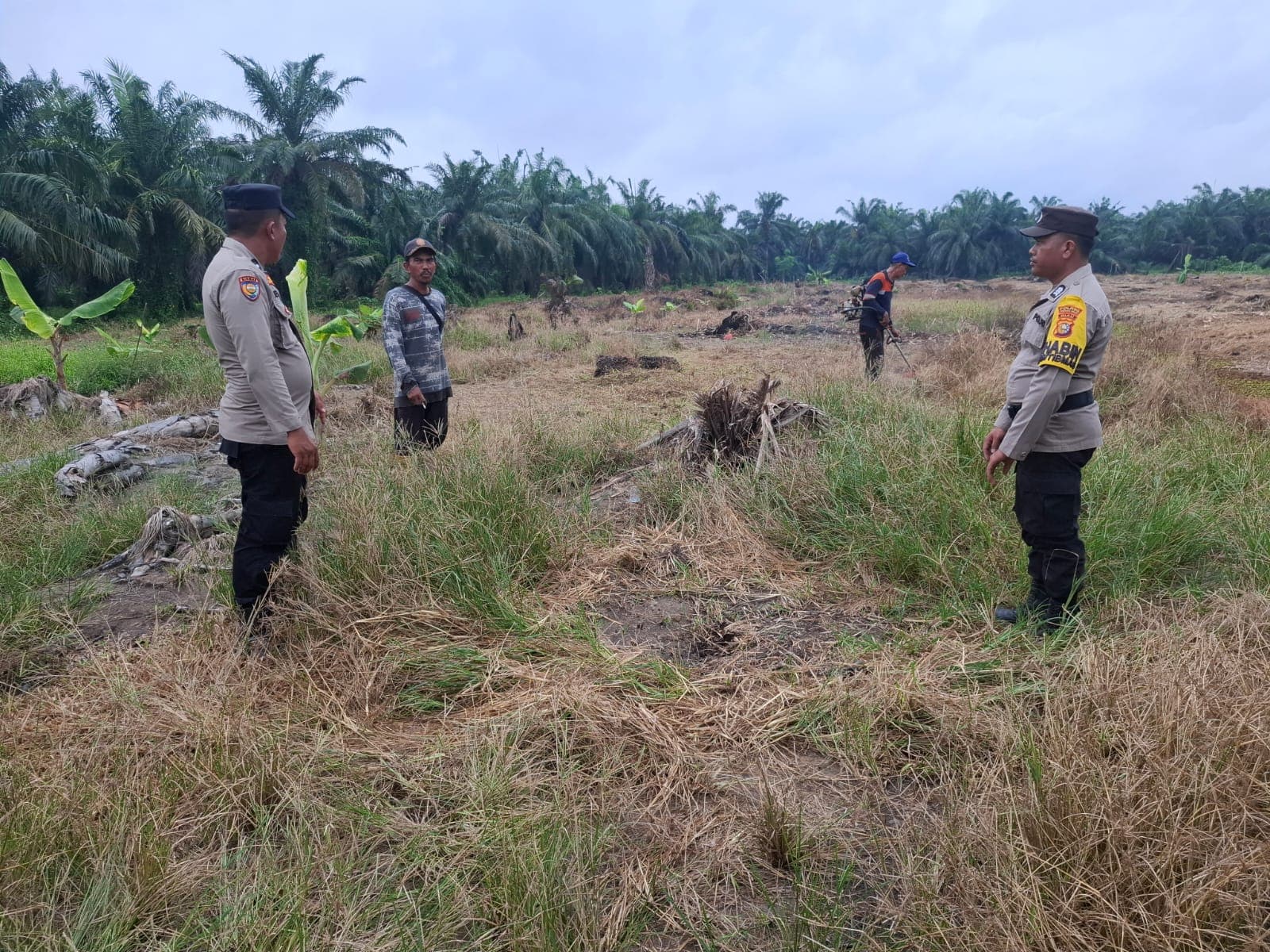 Polsek Batu Hampar Turun ke Lahan, Pastikan Program Ketahanan Pangan Berjalan Sesuai Rencana